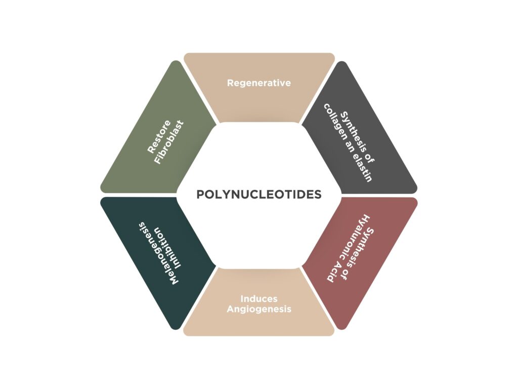 Polynucleotides | Collagen Supplements,Collagen Creams,Injectables